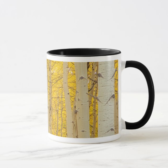 USA, Colorado. Aspnar i Gunnison National Mugg (Höger)