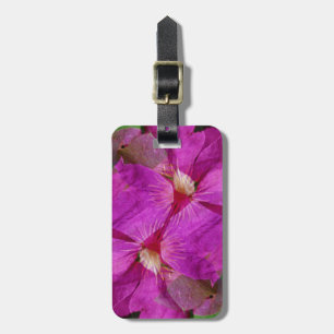 USA, Colorado, Boulder. Clematis blomster montage Bagagebricka