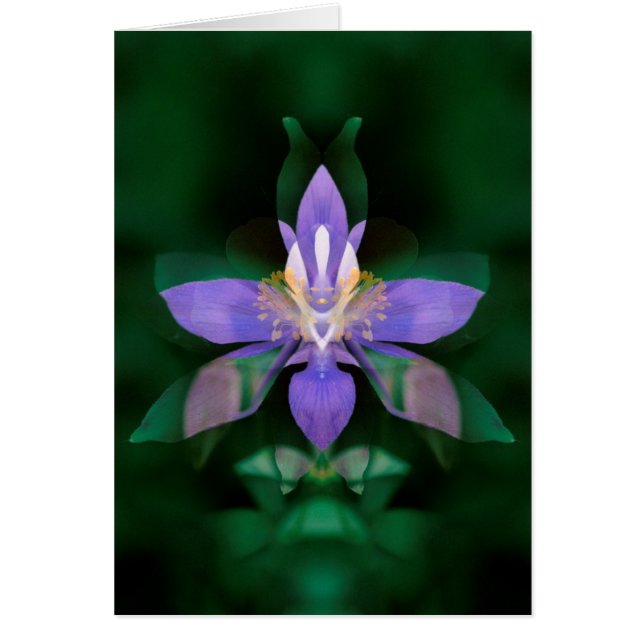 USA, Colorado, Boulder County Hälsningskort (Framsidan)