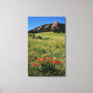 USA, Colorado, Boulder. Flatirons och vallmo Canvastryck