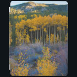 USA, Colorado. Bright Gult Aspen i Rockies iPad Skydd<br><div class="desc">Anna Miller/DanitaDelimont.com USA,  Nordamerika,  Colorado</div>