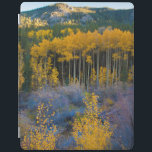 USA, Colorado. Bright Gult Aspen i Rockies iPad Skydd<br><div class="desc">Anna Miller / DanitaDelimont.com USA,  Nordamerika,  Colorado</div>
