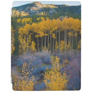 USA, Colorado. Bright Gult Aspen i Rockies iPad Skydd