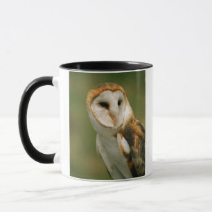 USA, Colorado, Broomfield. Tornuggla Mugg