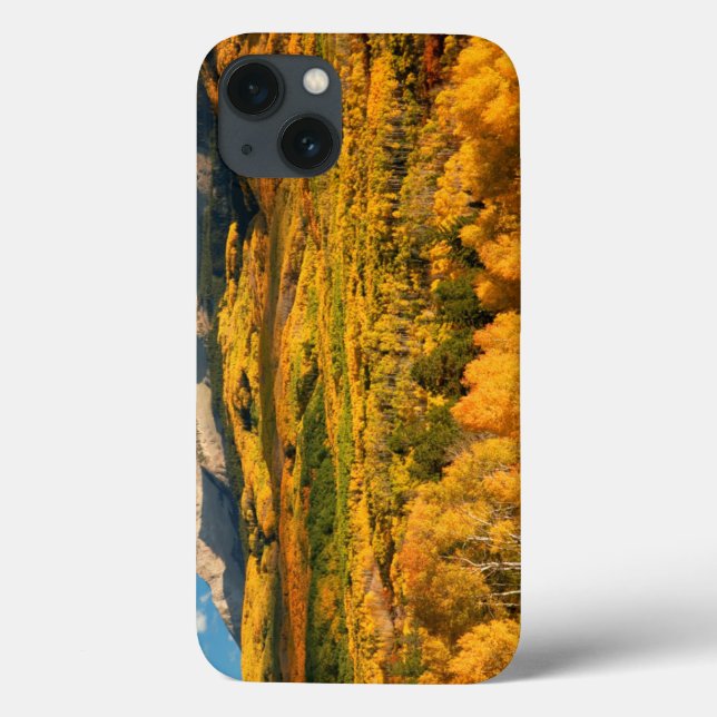 USA, Colorado, Gunnison National Forest (Baksida)
