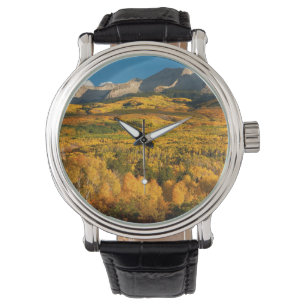 USA, Colorado, Gunnison National Forest Armbandsur