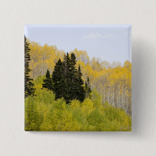 USA, Colorado, Gunnison National Forest, längs 2 Knapp