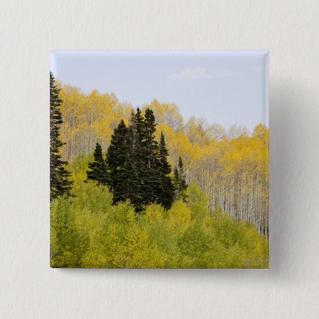 USA, Colorado, Gunnison National Forest, längs 2 Knapp (Framsida)