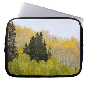 USA, Colorado, Gunnison National Forest, längs 2 Laptop Fodral