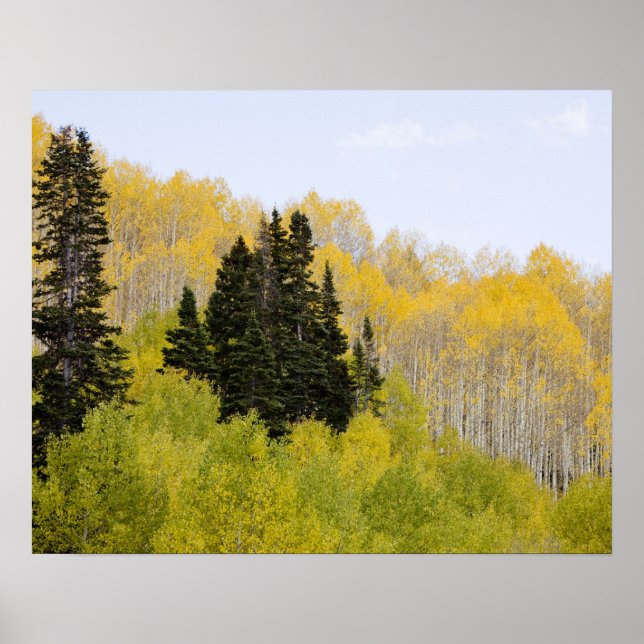USA, Colorado, Gunnison National Forest, längs 2 Poster (Framsidan)
