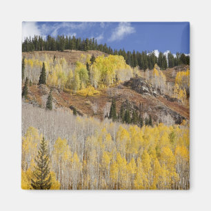 USA, Colorado, Gunnison National Forest, längs Magnet