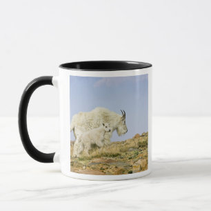 USA, Colorado, Klippiga bergen, Mount Evans, Mugg