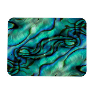 USA, Colorado, Lafayette. Abalone-skalmontering Magnet