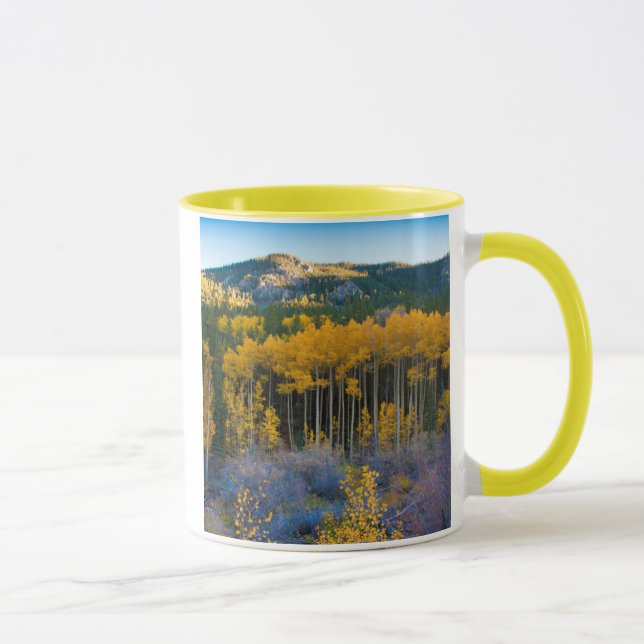 USA, Colorado. Ljusgula asp i Klippiga bergen Mugg (Höger)