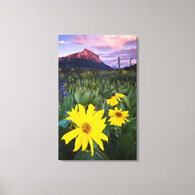 USA, Colorado, Mt. Crested Butte Canvastryck (Framsida)
