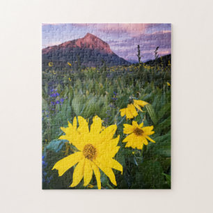 USA, Colorado, Mt. Crested Butte Pussel