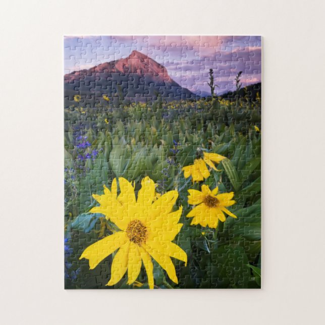 USA, Colorado, Mt. Crested Butte Pussel (Vertikal)