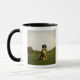 USA Colorado, nytt slott Mugg