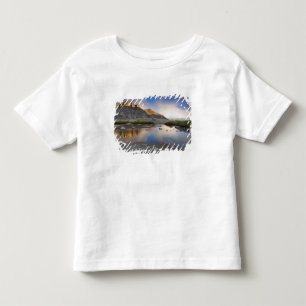 USA, Colorado, Rocky Mountain NP. Tee