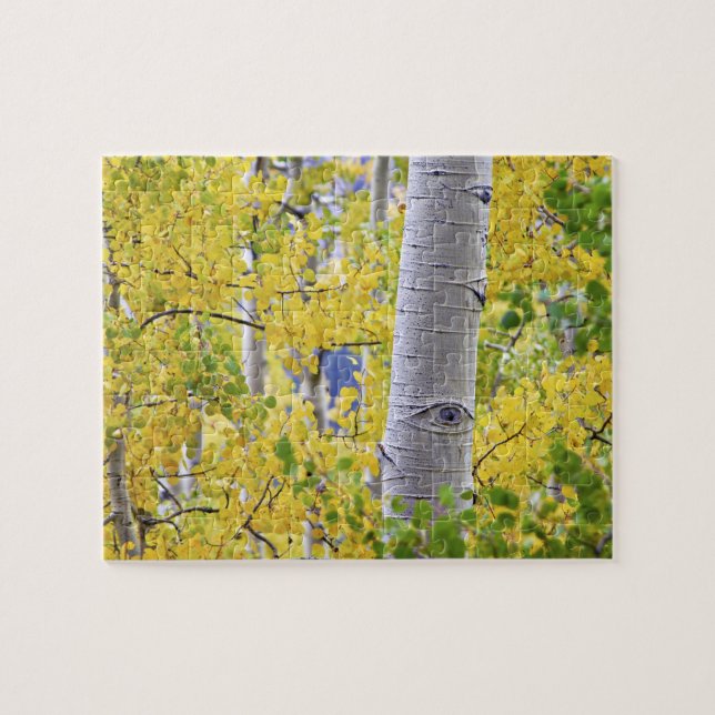 USA, Colorado, Rocky mountains.  Intim aspen 2 Pussel (Horisontell)