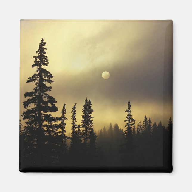 USA, Colorado, San Isabel National Forest. Magnet (Framsidan)