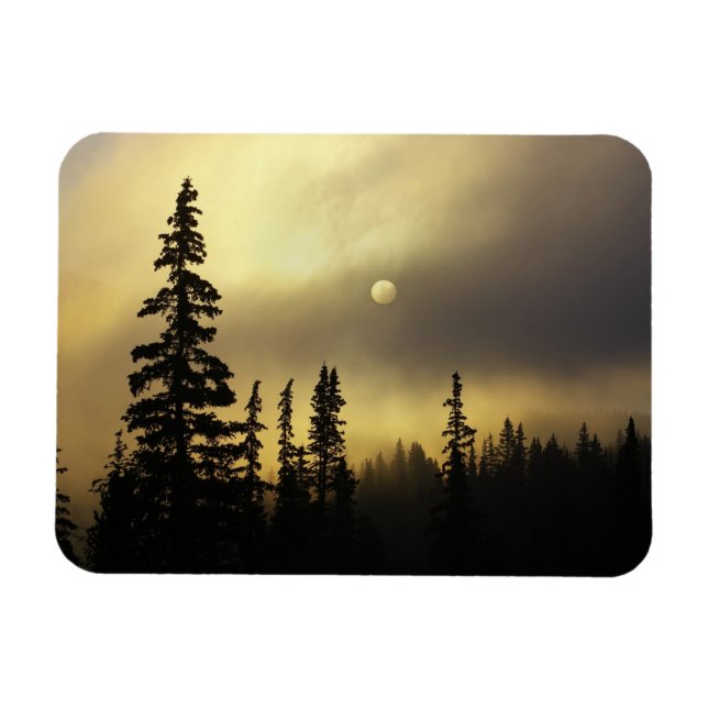 USA, Colorado, San Isabel National Forest. Magnet (Horisontell)