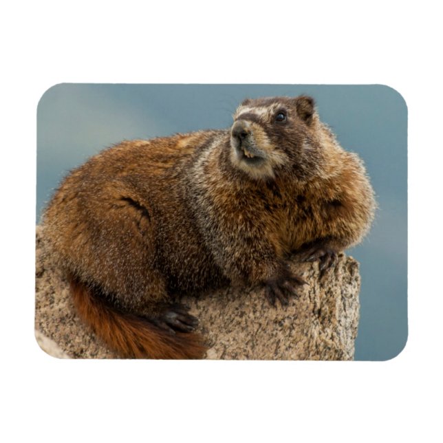 USA, Colorado, San Juan Mountains 2 Magnet (Horisontell)