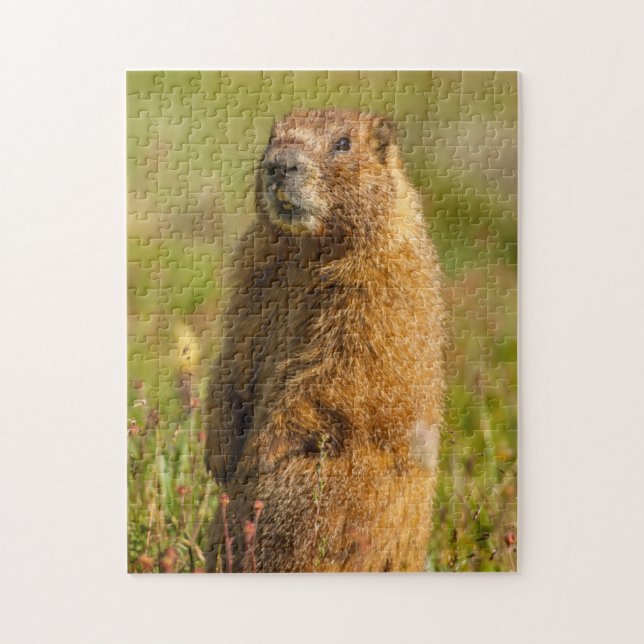 USA, Colorado, San Juan Mountains Pussel (Vertikal)