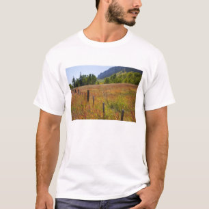 USA, Colorado, San Juan National Forest, längs T Shirt