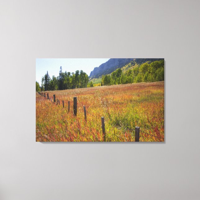 USA, Colorado, San Juan National Forest, tillsamma Canvastryck (Framsida)