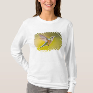 USA, Colorado, Summit County, Heeney. Sidovy T Shirt