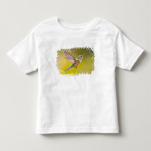 USA, Colorado, Summit County, Heeney. Sidovy Tee