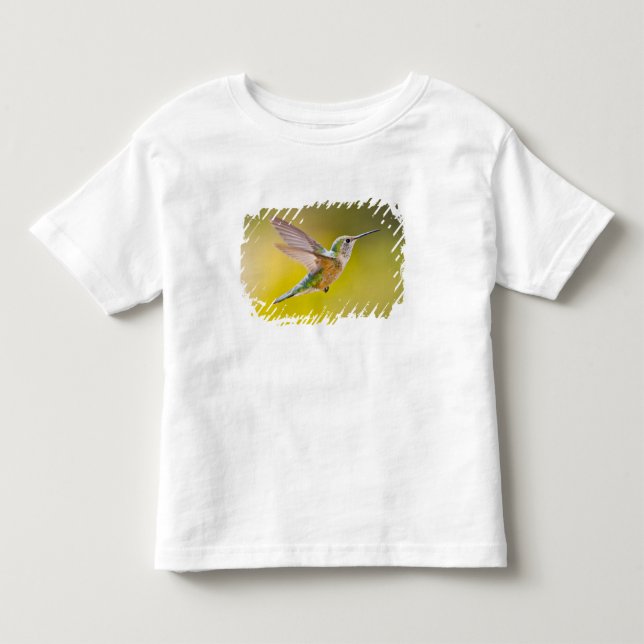 USA, Colorado, Summit County, Heeney. Sidovy Tee (Framsida)