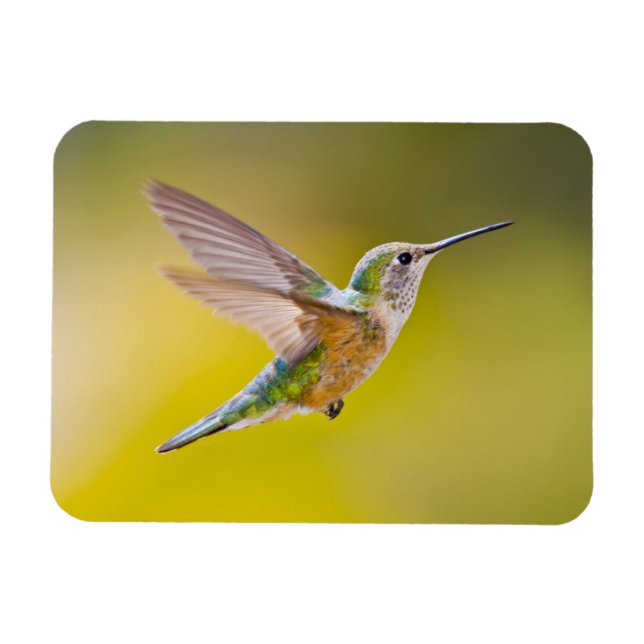 USA, Colorado, "Toppmöte County", Heeney. Sidovy Magnet (Horisontell)