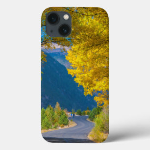 USA, Colorado. Vägen som flankeras av Aspen