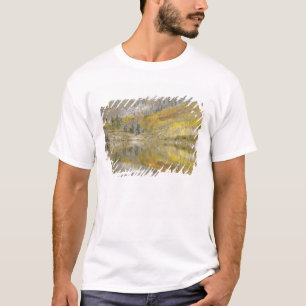 USA, Colorado, White River National Forest, 2 Tee Shirt