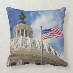 USA Columbia, Washington DC, huvudstadbyggnad Kudde