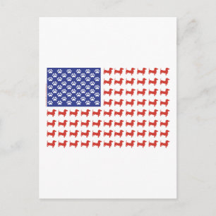 USA Dachshund Vykort