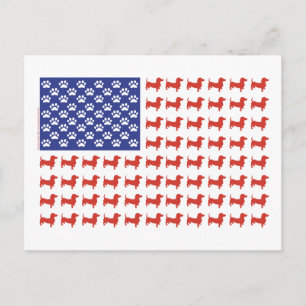 USA Dachshund Vykort