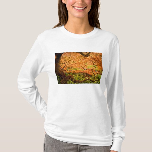 USA, Delaware, Wilmington. Japansk lönn T-shirt (Framsida)