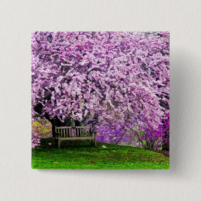 USA, Delaware, Wilmington. Träbänk under Knapp (Framsida)