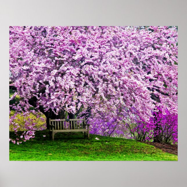 USA, Delaware, Wilmington. Träbänk under Poster (Framsidan)