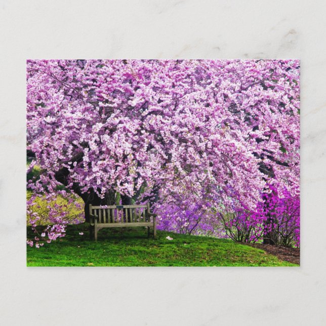 USA, Delaware, Wilmington. Träbänk under Vykort (Framsida)