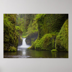 USA, Eagle Bäck, Columbia Gorge, Oregon. 3 Poster