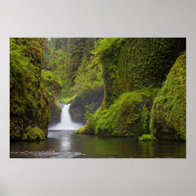 USA, Eagle Bäck, Columbia Gorge, Oregon. 3 Poster (Framsidan)