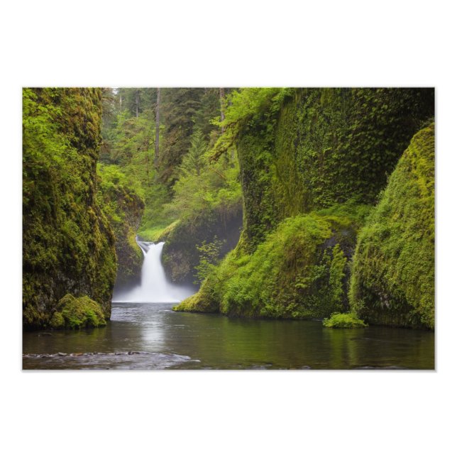 USA, Eagle Creek, Columbia Gorge, Oregon. 3 Fototryck (Framsidan)