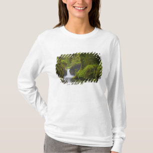 USA, Eagle Creek, Columbia Gorge, Oregon. 3 Tee