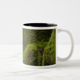 USA, Eagle Creek, Columbia Gorge, Oregon. 3 Två-Tonad Mugg