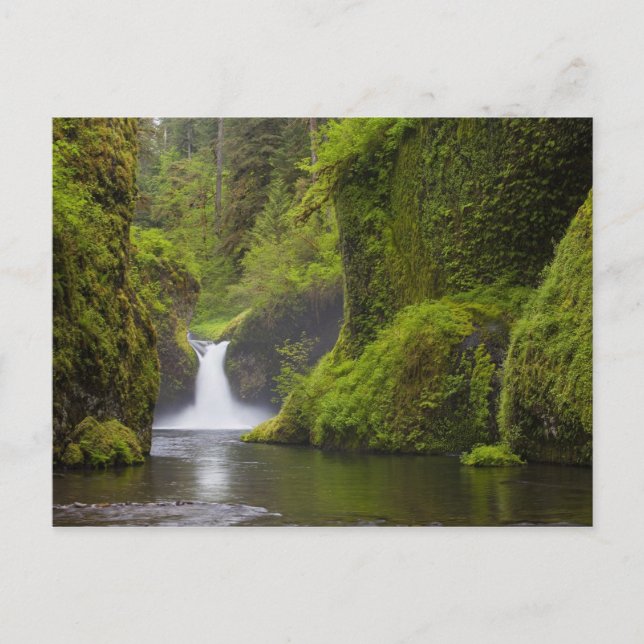 USA, Eagle Creek, Columbia Gorge, Oregon. 3 Vykort (Framsida)