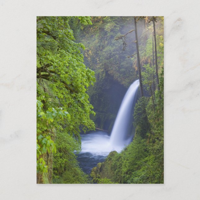 USA, Eagle Creek, Columbia Gorge, Oregon. Vykort (Framsida)